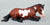 Lying Stock Horse, Bay Pinto - TSC SR, Mystery Horse Surprise Series 8