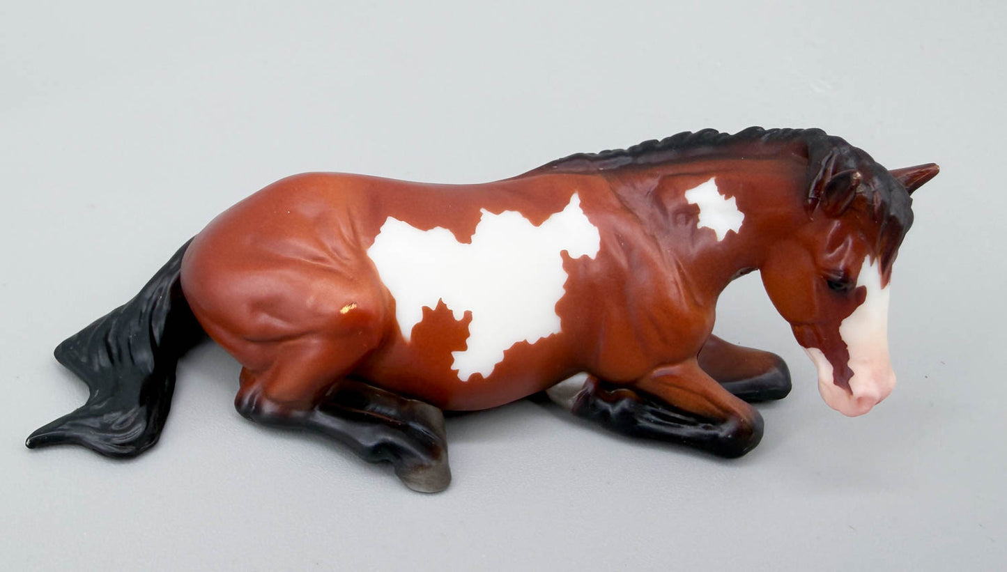 Lying Stock Horse, Bay Pinto - TSC SR, Mystery Horse Surprise Series 8