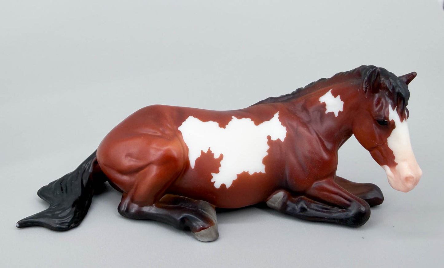 Lying Stock Horse, Bay Pinto - TSC SR, Mystery Horse Surprise Series 8