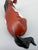 Lying Stock Horse, Bay Pinto - TSC SR, Mystery Horse Surprise Series 8