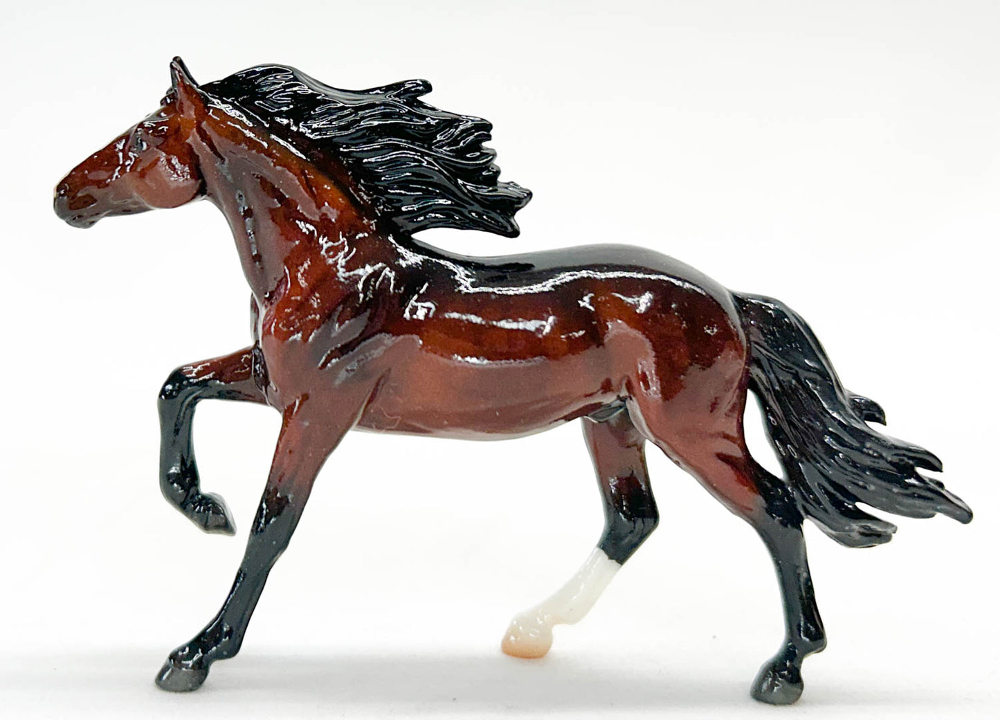 Mirado ~ Cava - BreyerFest 2025 Ltd Ed - UNOPENED (sale for charity)