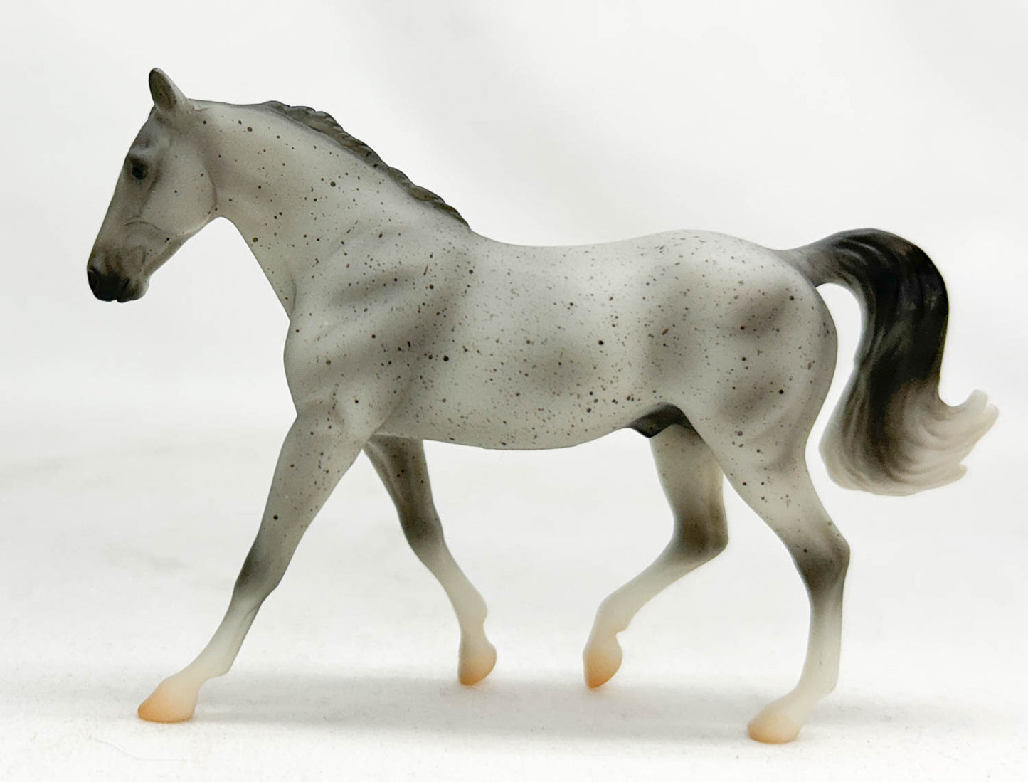 Missouri Fox Trotter, Fleabitten Grey - TSC blind bags