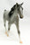Missouri Fox Trotter, Fleabitten Grey - TSC blind bags