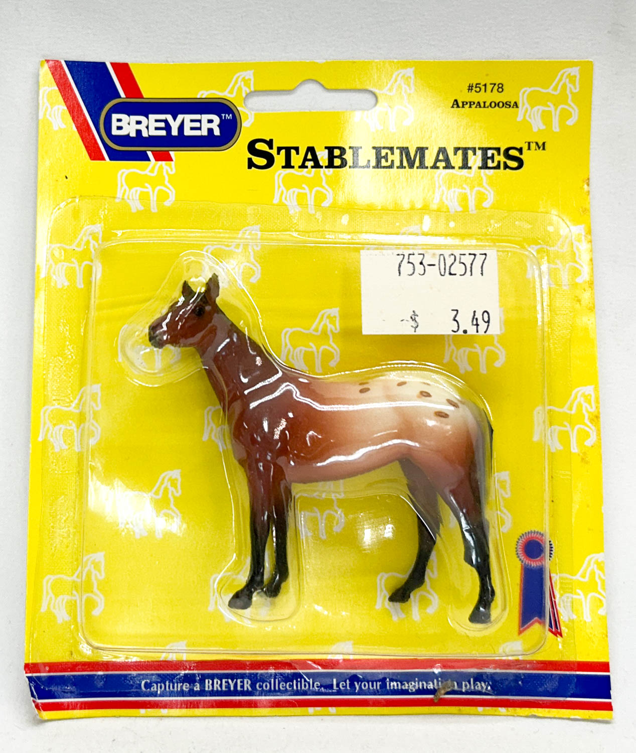 Native Dancer, Bay Appaloosa