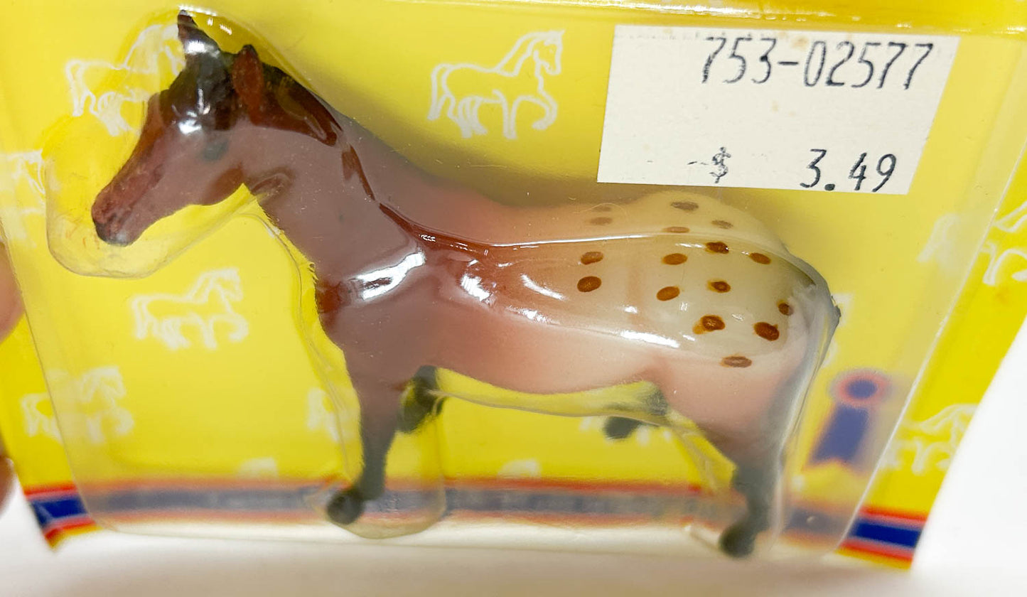 Native Dancer, Bay Appaloosa