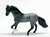 Paso Fino, Blue Roan