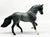 Paso Fino, Blue Roan