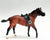 Quarter Horse Stallion, Bay from Junior Rider and English Saddle Set