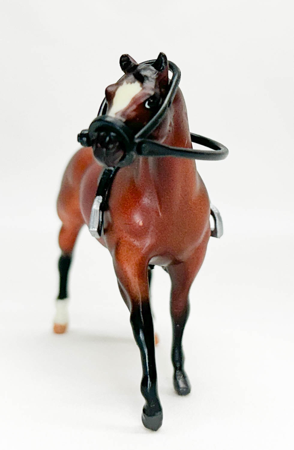 Quarter Horse Stallion, Bay from Junior Rider and English Saddle Set