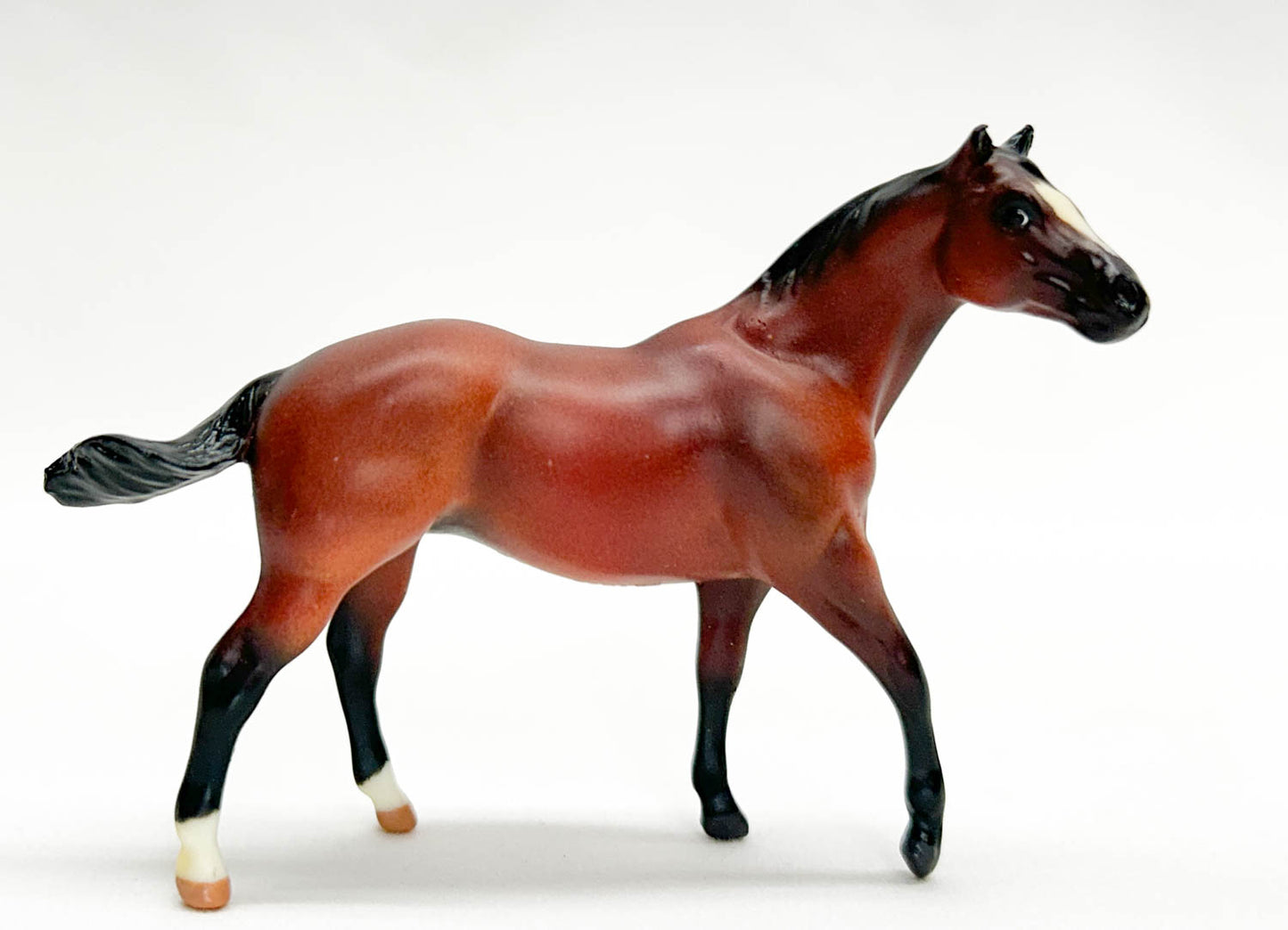 Quarter Horse Stallion, Bay from Junior Rider and English Saddle Set