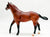 Quarter Horse Stallion, Bay from Junior Rider and English Saddle Set