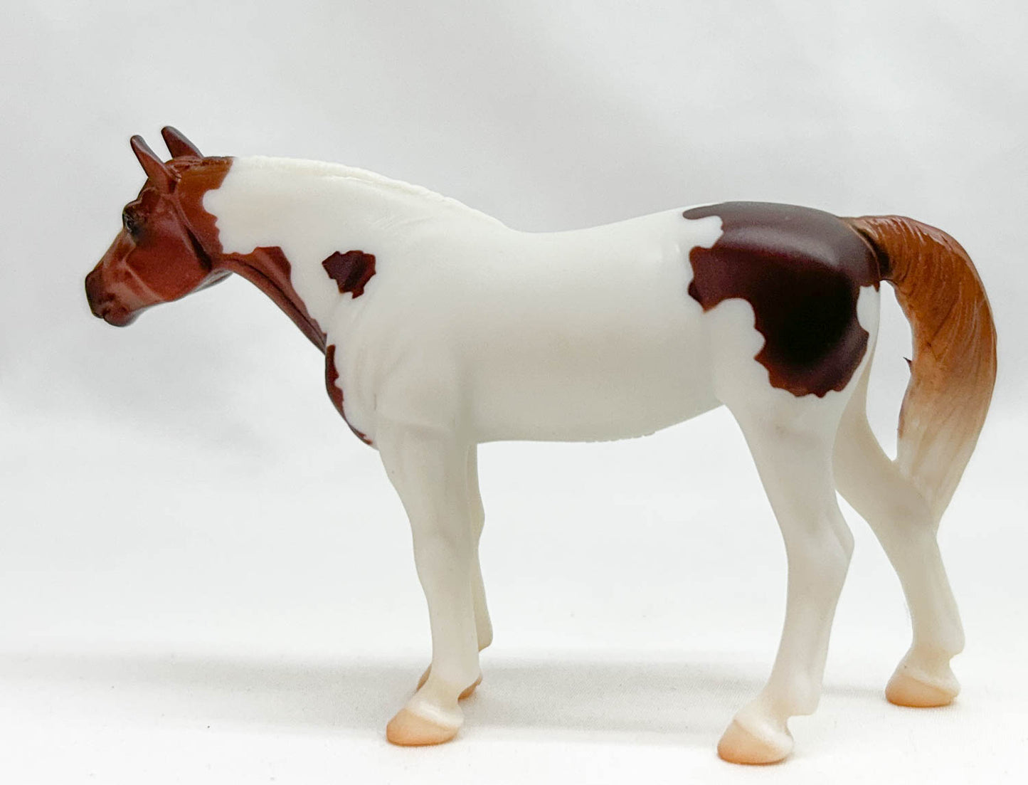 Quarter Horse, Liver Chestnut Pinto - TSC Blind Bags 2024