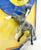 Rearing Andalusian, Blue Roan