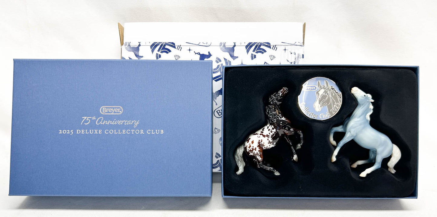 Semi-Rearing Mustang ~ Darius, Bay Appaloosa + Wedgewood - Collector Club 2025 Bonus Model