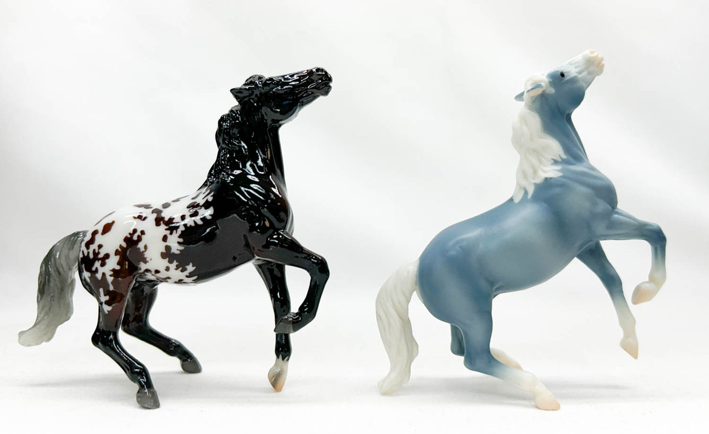 Semi-Rearing Mustang ~ Darius, Bay Appaloosa + Wedgewood - Collector Club 2025 Bonus Model