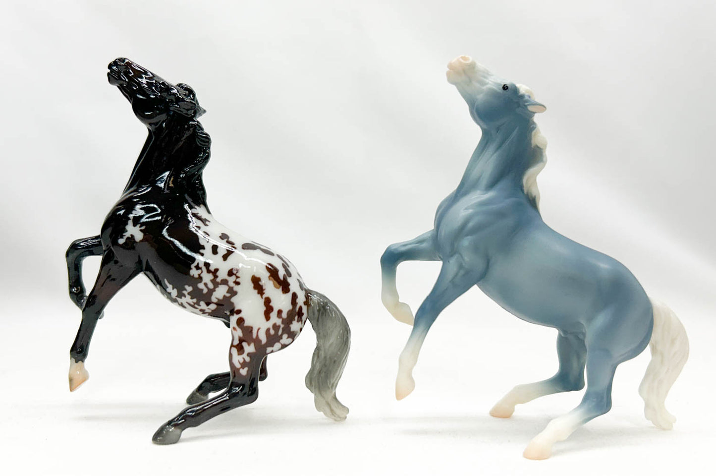 Semi-Rearing Mustang ~ Darius, Bay Appaloosa + Wedgewood - Collector Club 2025 Bonus Model