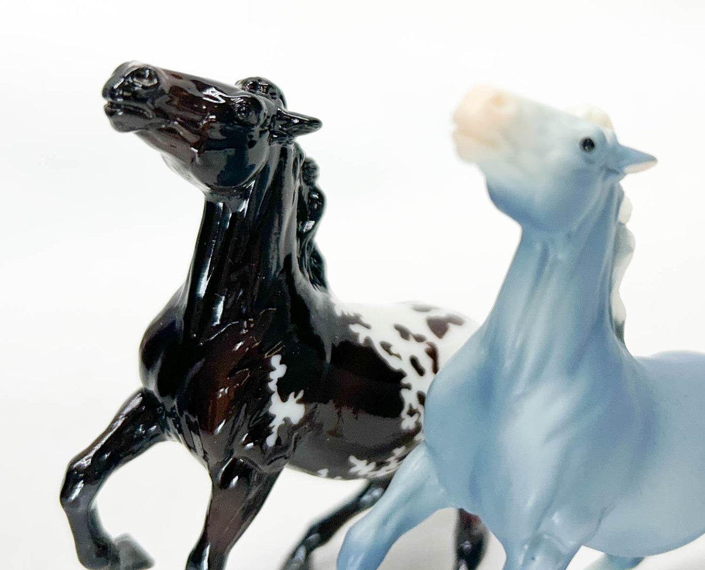 Semi-Rearing Mustang ~ Darius, Bay Appaloosa + Wedgewood - Collector Club 2025 Bonus Model