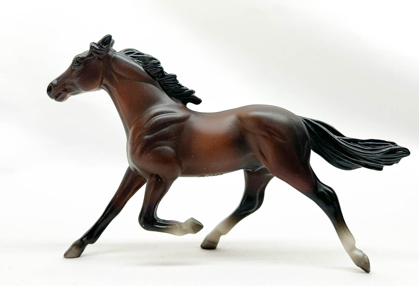 Standardbred, Bay - TSC Blind Bags 2024