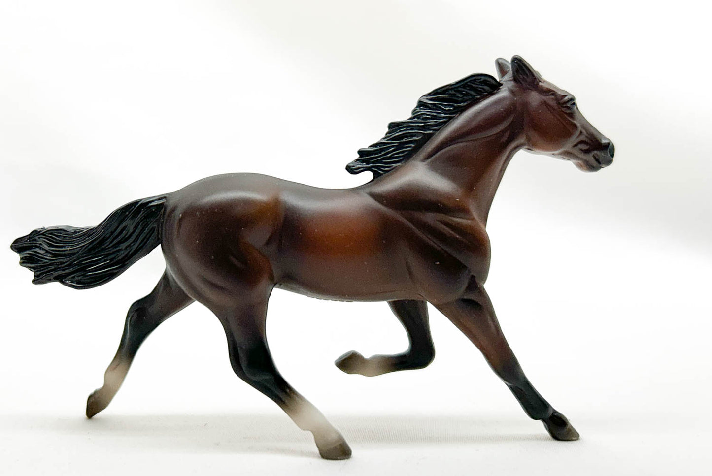 Standardbred, Bay - TSC Blind Bags 2024