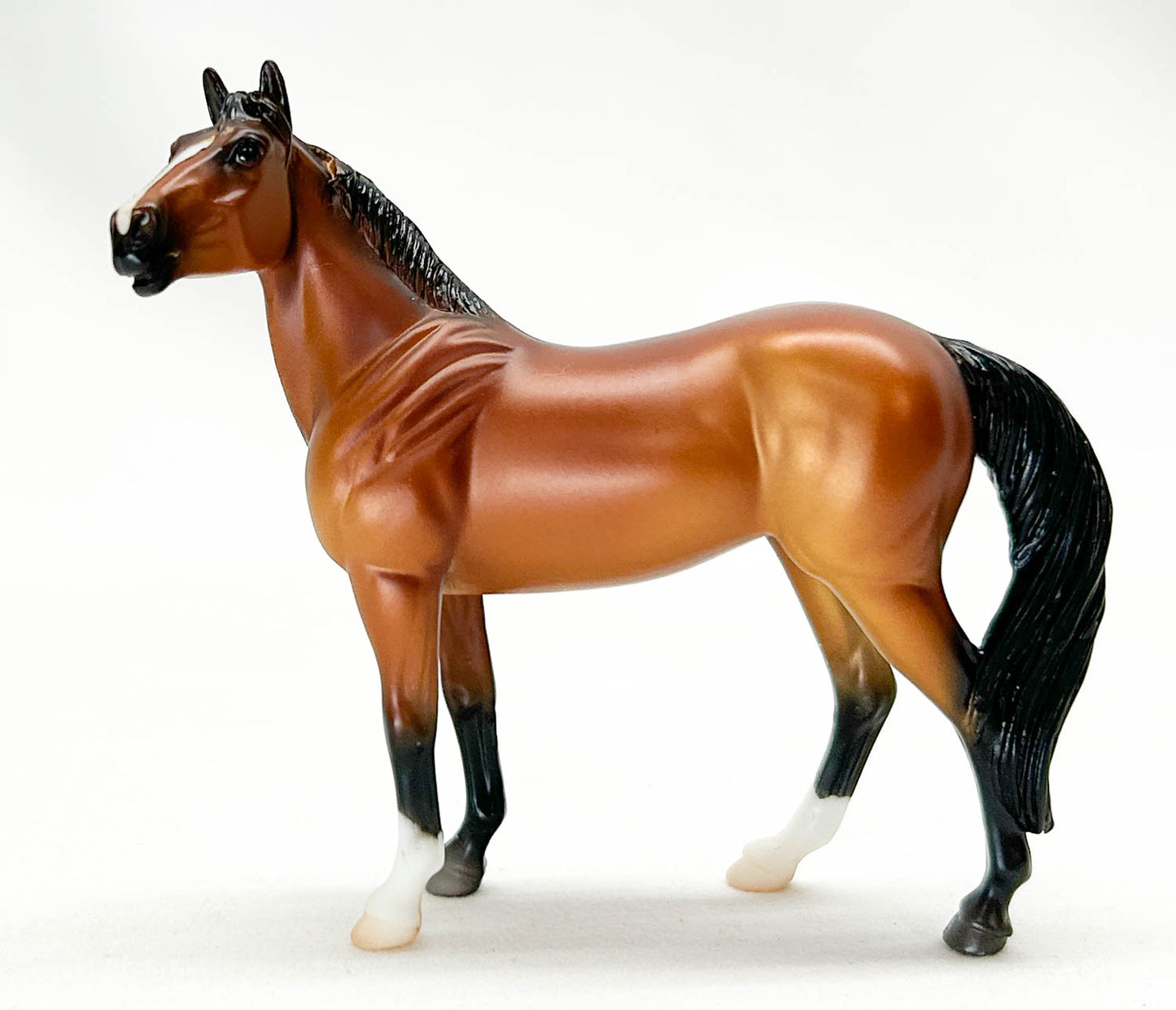 Standing Stock Horse, Bay - Horse Crazy Collection Shadow Box