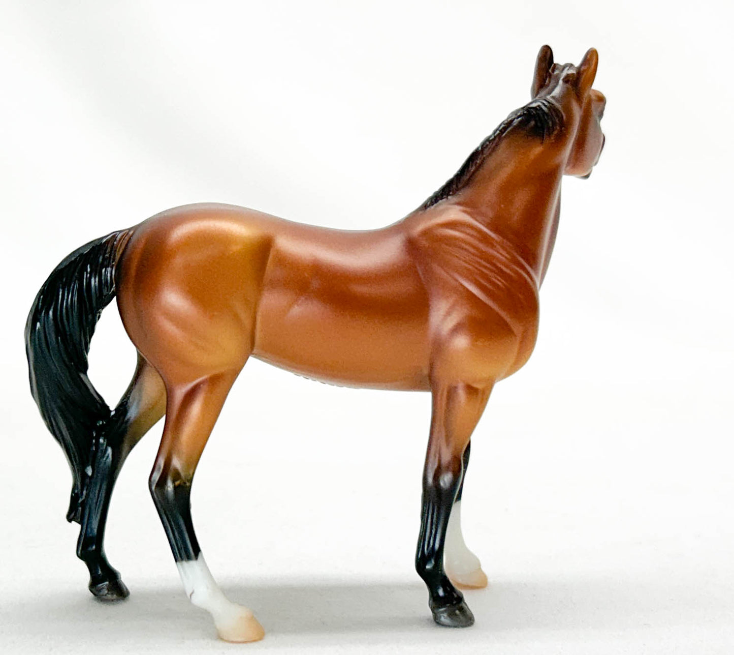 Standing Stock Horse, Bay - Horse Crazy Collection Shadow Box