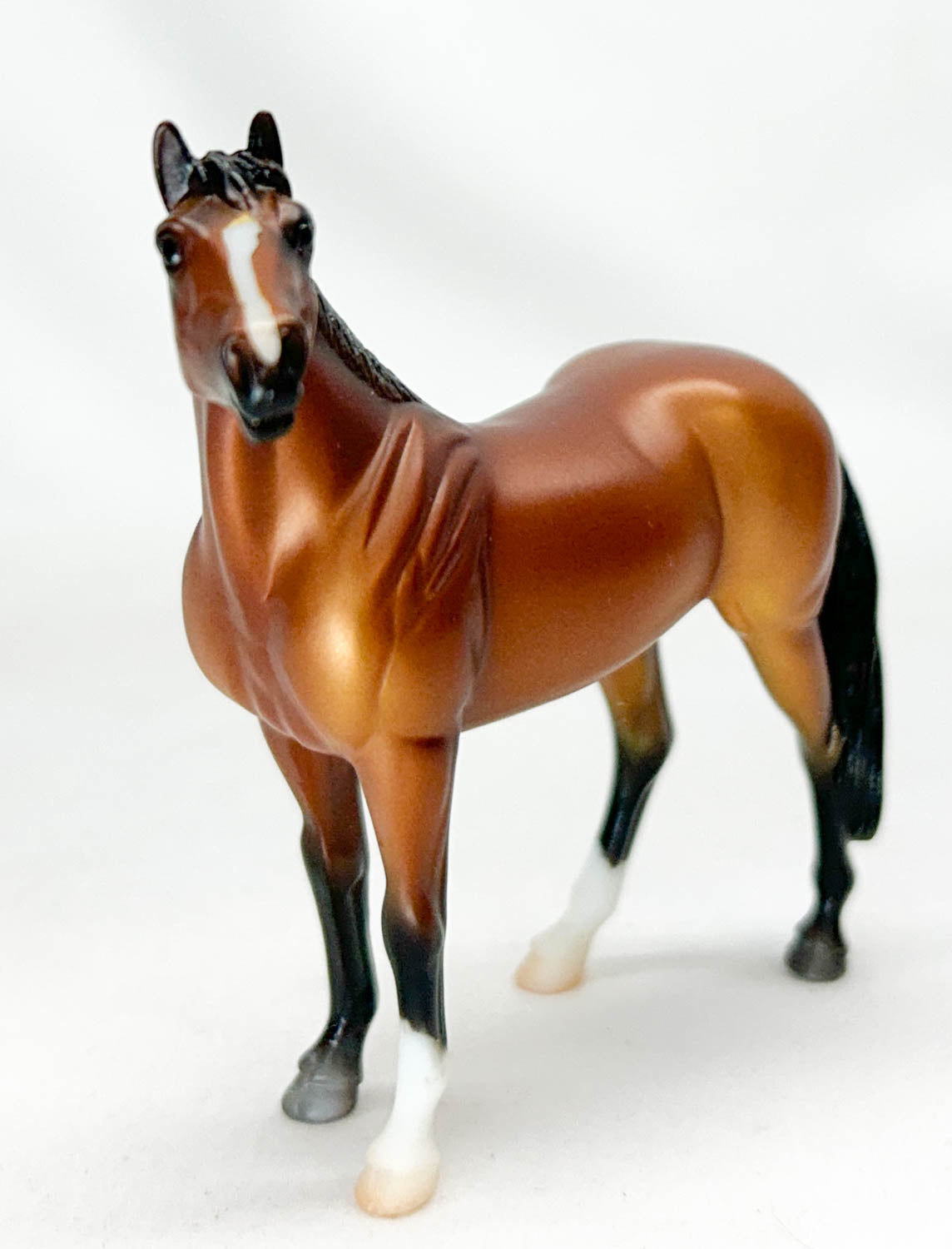 Standing Stock Horse, Bay - Horse Crazy Collection Shadow Box