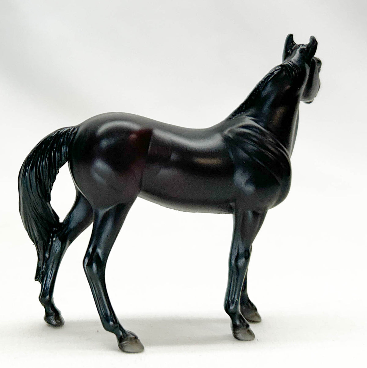 Standing Stock Horse, Black
