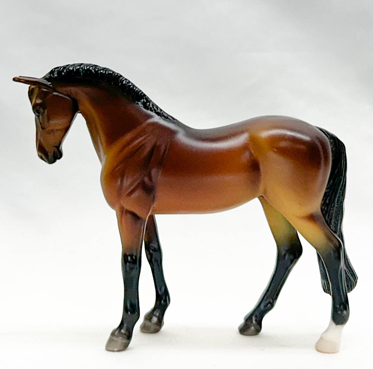 Standing Thoroughbred, Bay