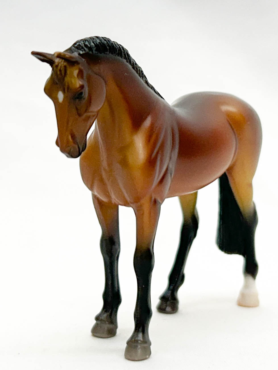 Standing Thoroughbred, Bay