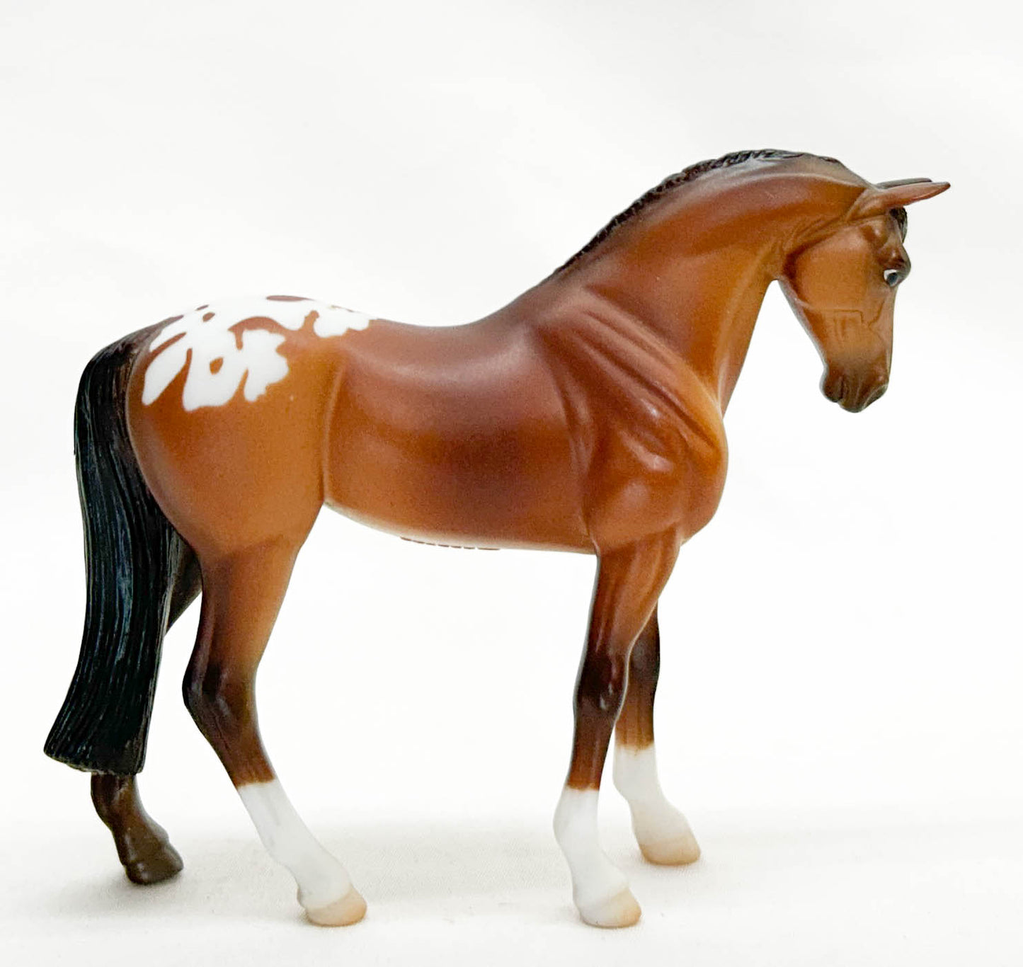 Standing Thoroughbred, Bay Appaloosa - Kmart SR
