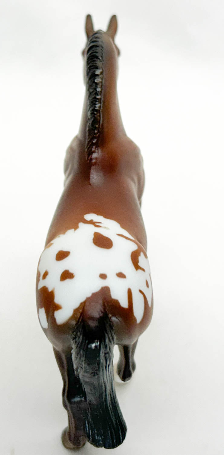 Standing Thoroughbred, Bay Appaloosa - Kmart SR