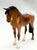 Standing Thoroughbred, Bay Appaloosa - Kmart SR