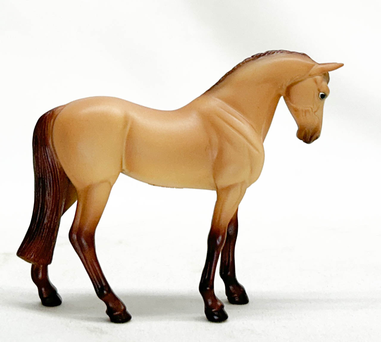Standing Thoroughbred, Red Dun / Light Chestnut