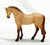 Standing Thoroughbred, Red Dun / Light Chestnut