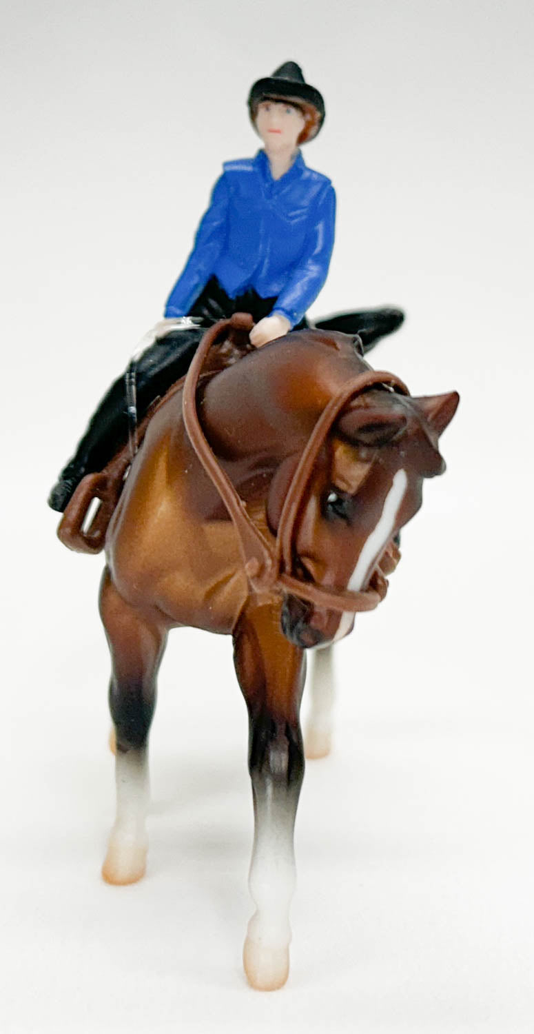 Stock Horse, Bay ~ Cutting Horse with Rider