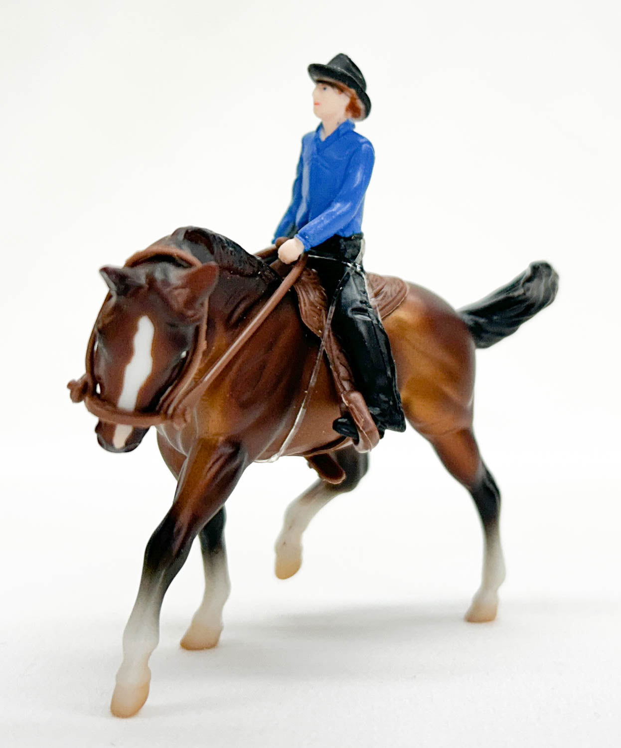 Stock Horse, Bay ~ Cutting Horse with Rider