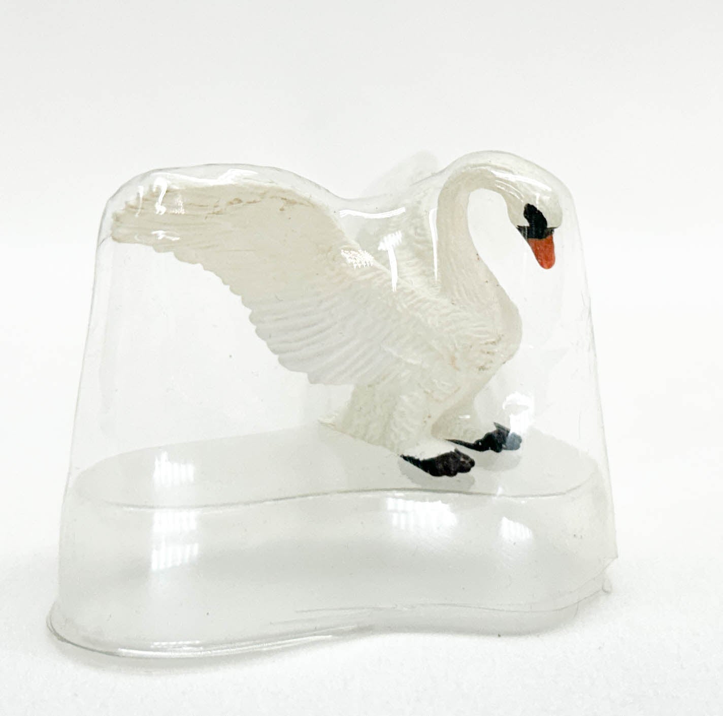 Swan, White