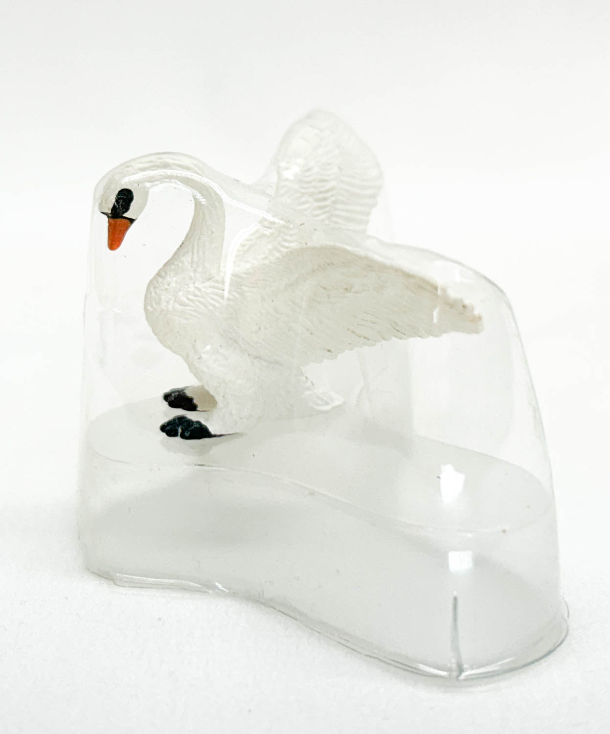 Swan, White
