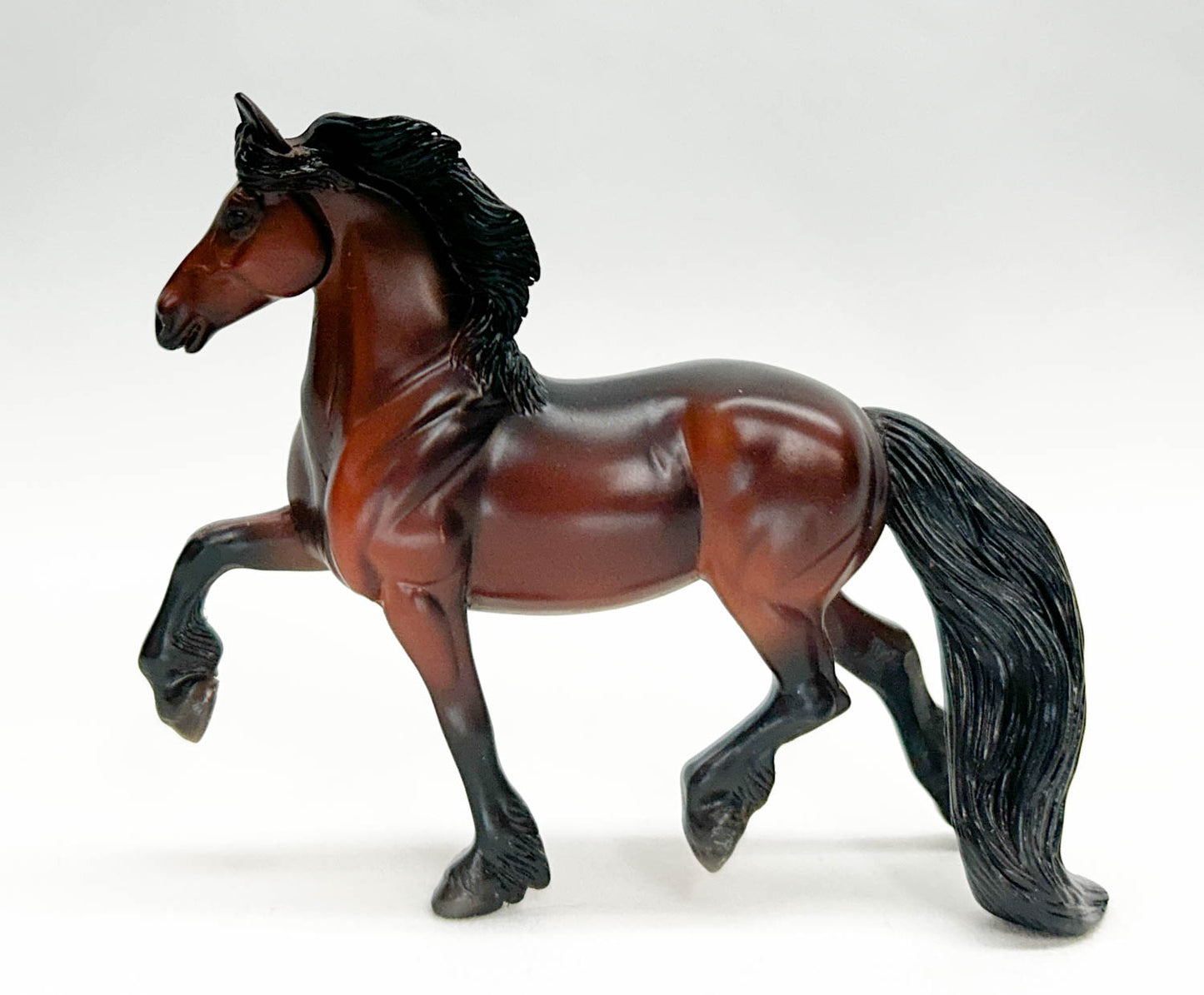 Trotting Friesian, Bay