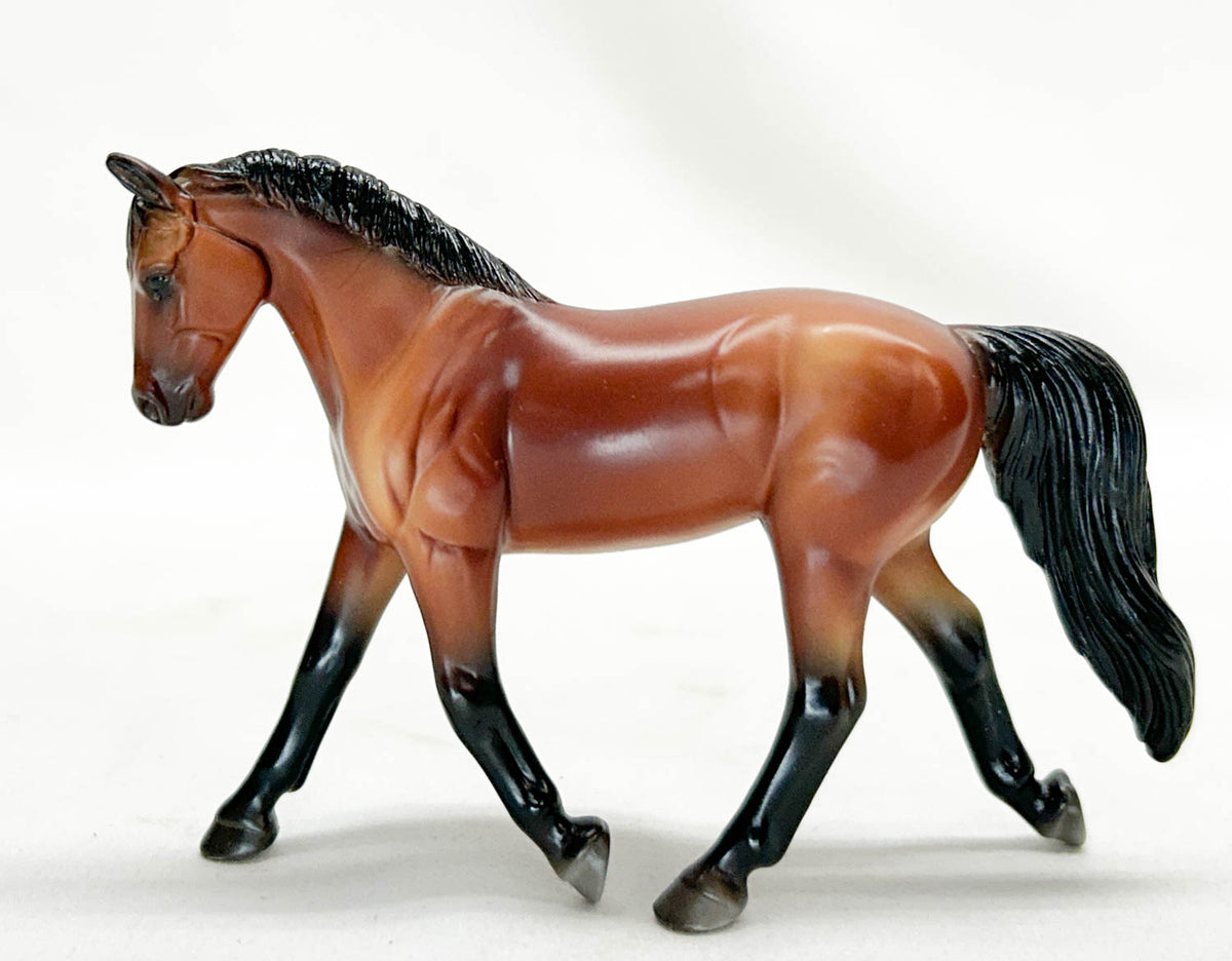 Trotting Warmblood ~ Max - Horses of Graceland