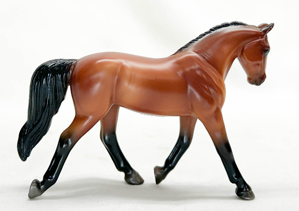 Trotting Warmblood ~ Max - Horses of Graceland