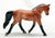 Trotting Warmblood ~ Max - Horses of Graceland