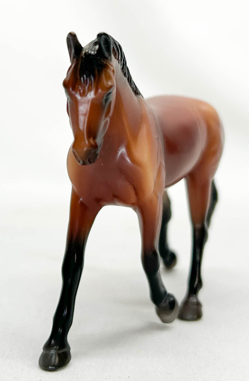 Trotting Warmblood ~ Max - Horses of Graceland