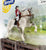Tennessee Walking Horse, Grey - Western Horse and Rider Set