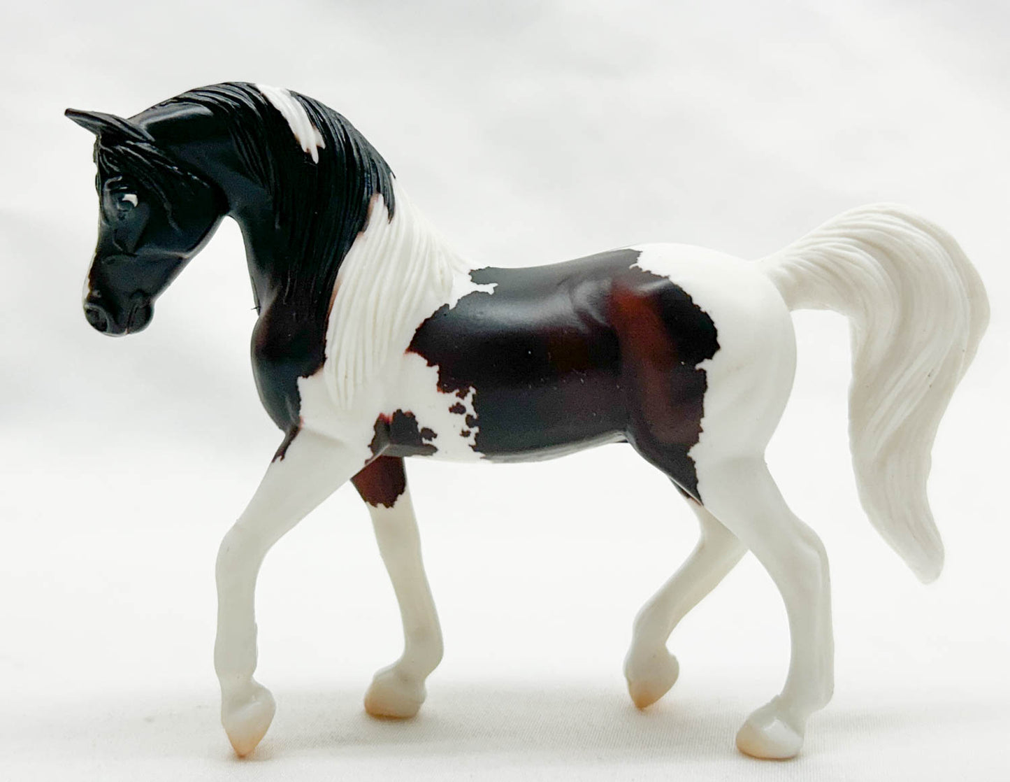 Walking Arabian ~ Victoire - Breyerfest 2020