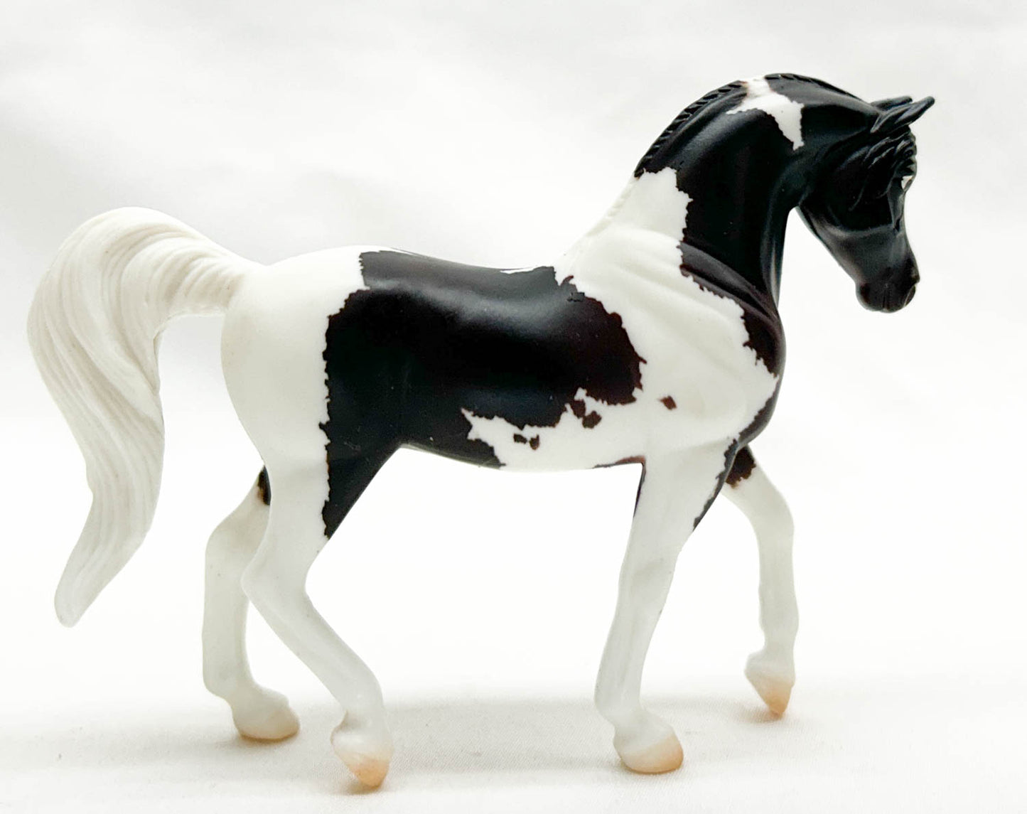 Walking Arabian ~ Victoire - Breyerfest 2020