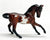 Warmblood, Bay Pinto