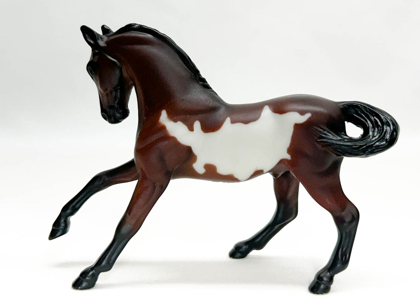 Warmblood, Bay Pinto