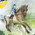 Warmblood ~ English Horse and Rider Set, Rose Grey Appaloosa - Tractor Supply SR