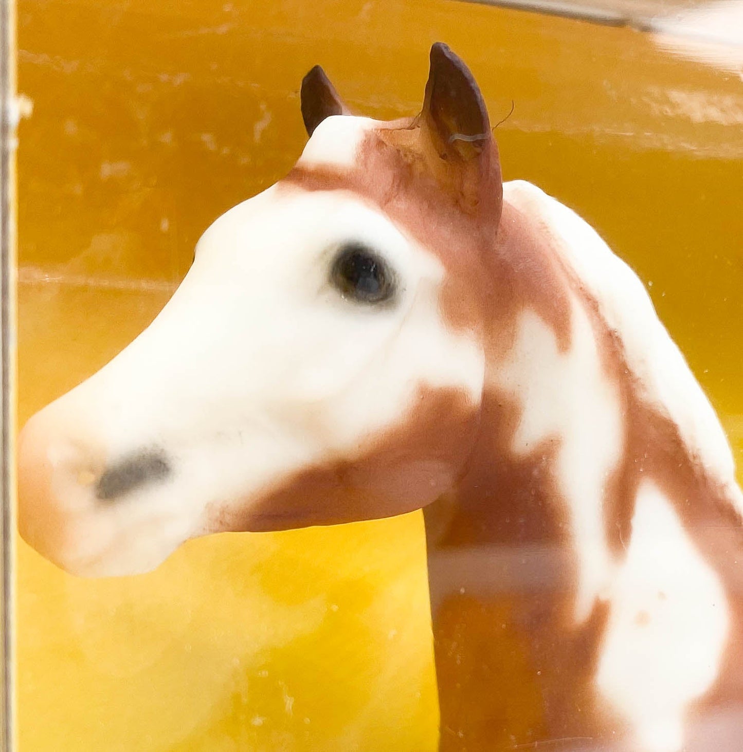 Standing Stock Horse Foal, Paint Foal